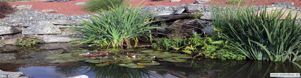 WD-Erdbau-Biotopgestaltung